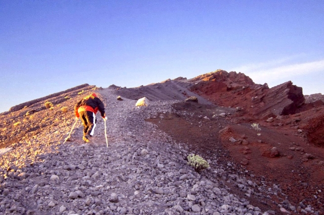  Trekking