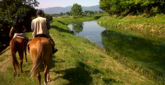 Paseo por la naturaleza