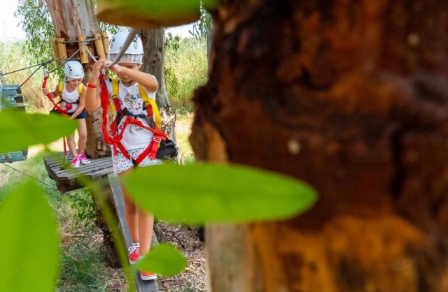  aventura entre los árboles 