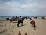 Tour a caballo de 5 días Latina/Circeo+habitación+campamento
