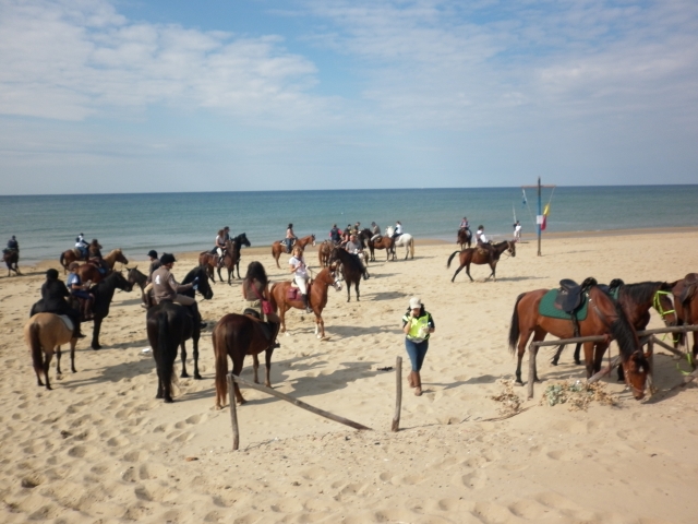  El grupo en la playa 