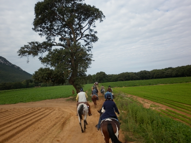  Pbaños a caballo 