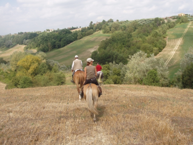  Pbaños a caballo de dos horas 