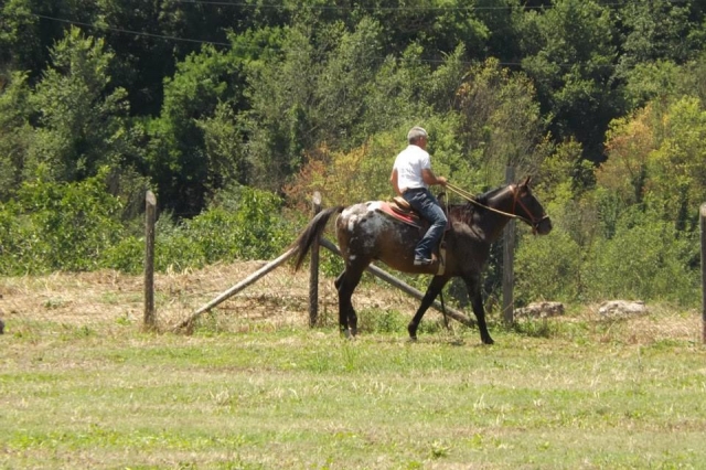  Cabalgando en la naturaleza
