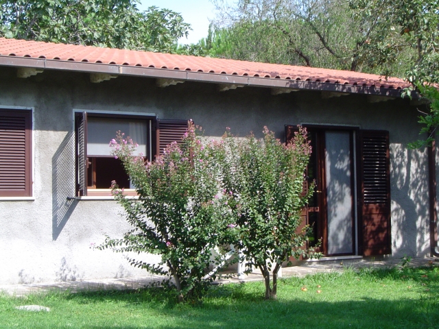  La estructura 