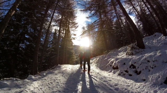  Raquetas de nieve hacia el sol 