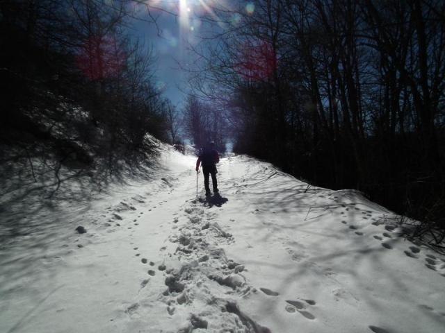  Raquetas de nieve en el Pollino