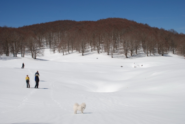 Excursiones con raquetas de nieve 