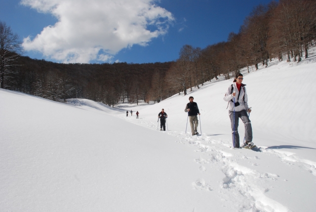  Excursiones con raquetas de nieve