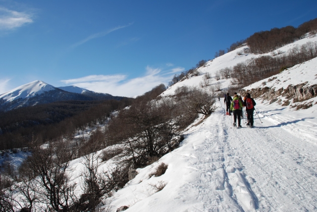  Excursiones con raquetas de nieve 