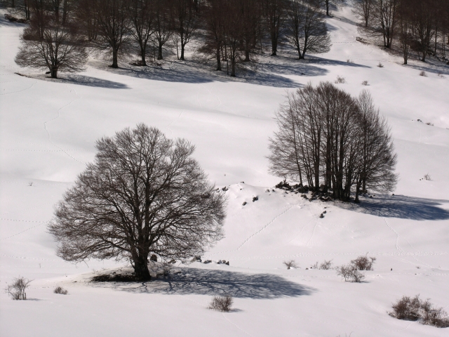  Invierno en Camposecco 