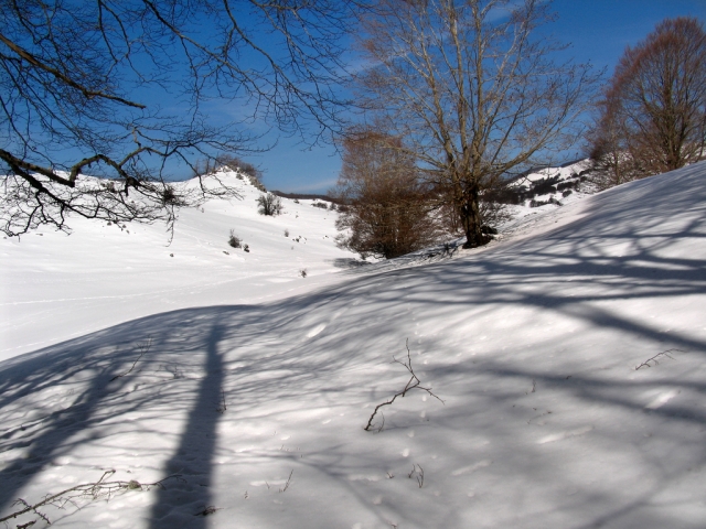  Rutas en la nieve