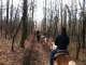 Cabalgatas Piamonte
