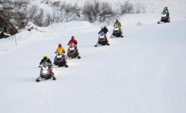  alineados en la nieve 