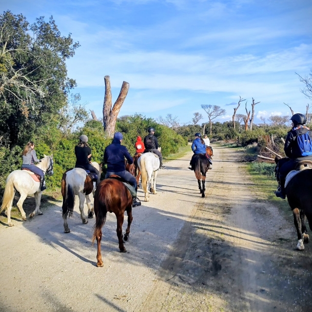  Caminando por la naturaleza