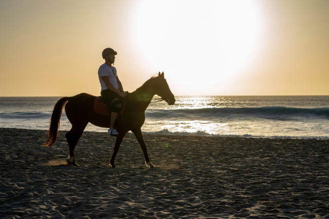  Pbaños a caballo por la orilla del mar al atardecer