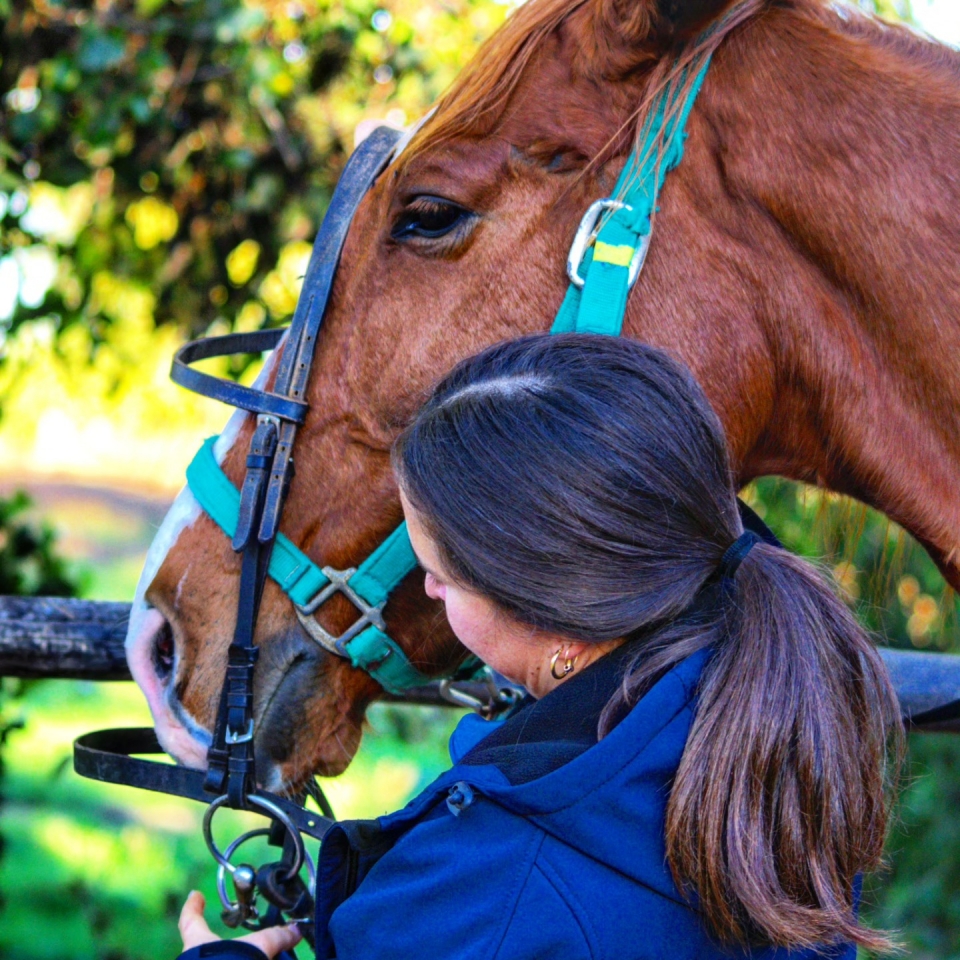  Poniéndole el cabestro 