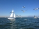 Renta de Barcos Génova