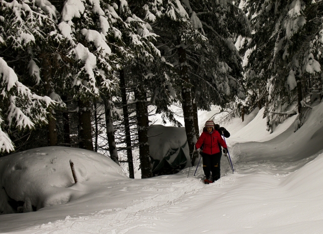  En el bosque de Bardonecchia 