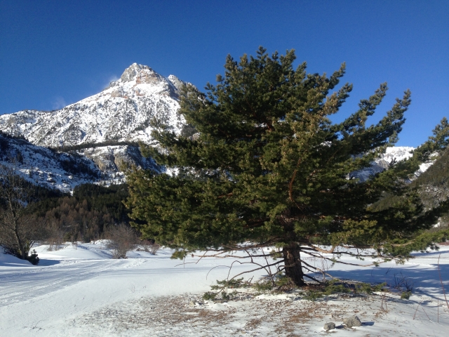 Pian del Colle 