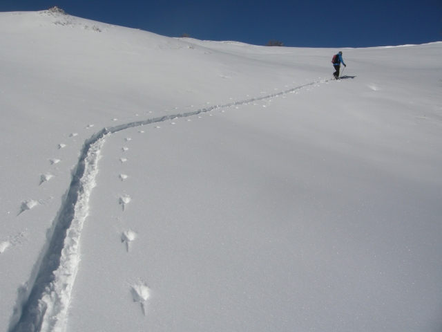  Esquí de montaña