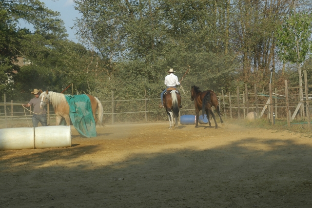  jugando desde el suelo