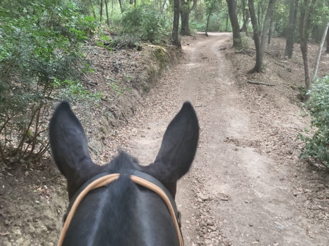  Subir en la Maremma 