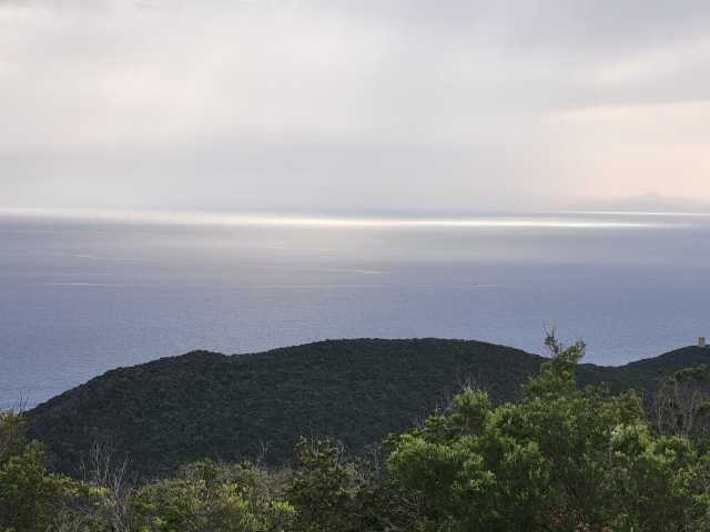  Vista del mar en Toscana 
