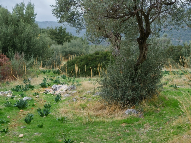  Caminos de la Maremma 