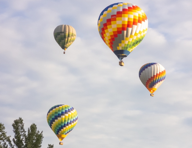  Volando en Florencia 