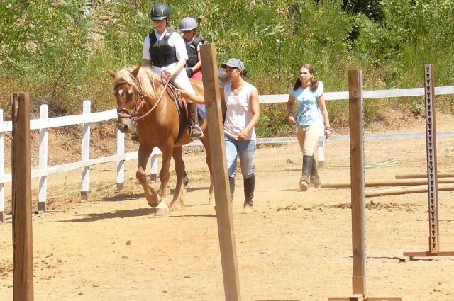 Campus ecuestre de verano