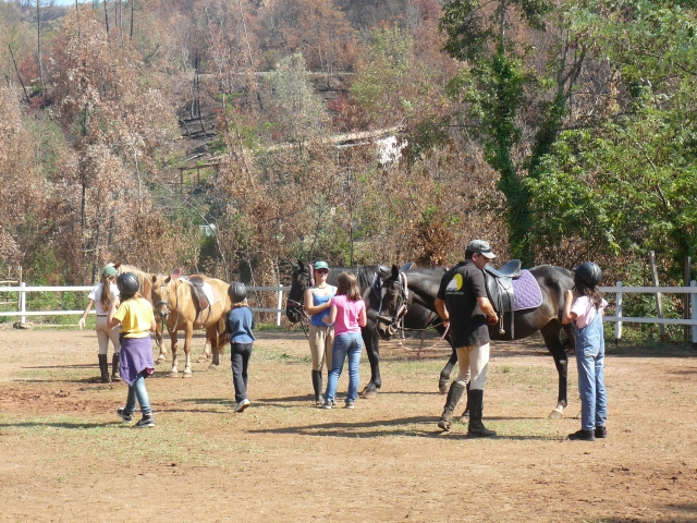 Rodeado de vegetación