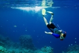 Introducción al buceo en apnea