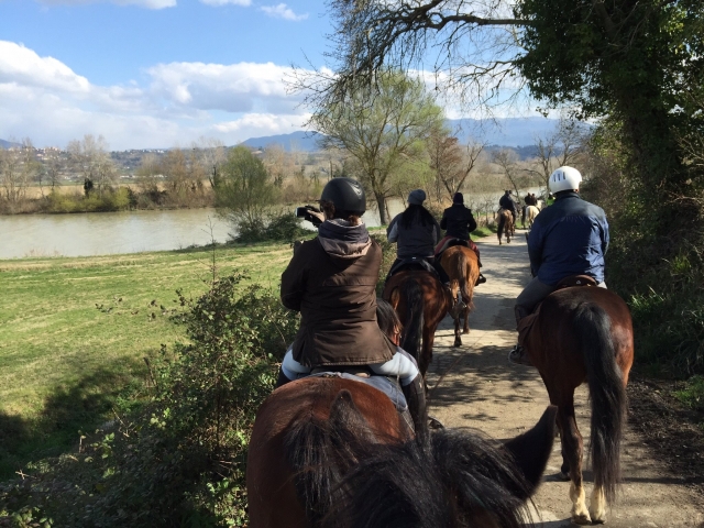 Paseo tranquilo en compañía