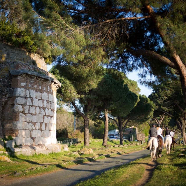 Deteniéndose a la sombra de los árboles