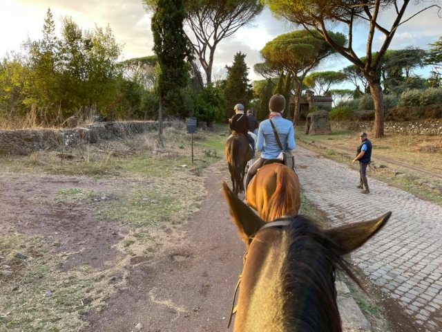 Entre los pinos marítimos
