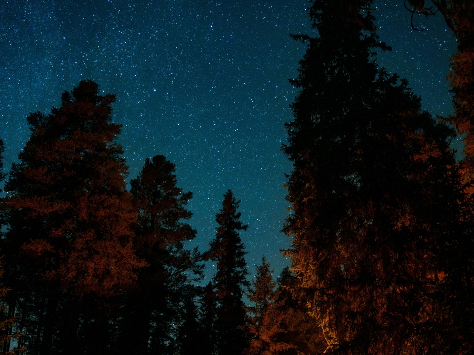  excursión nocturna, cielo de regreso después de cenar 