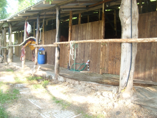  box para caballos 