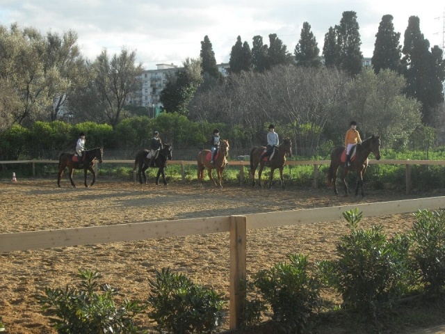  escuela de equitación 