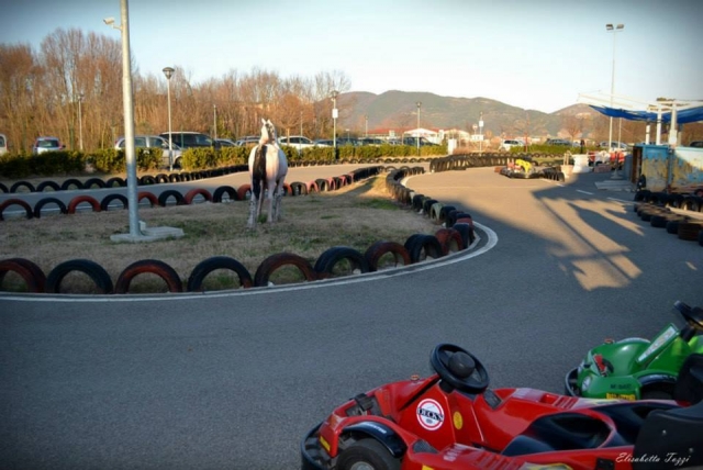  pista de go go go go go go go go go go go go go go go go go go go go go go go go go go go go go go go go go go go go go go go go go go go go go go go go go go go go go go go go go go go go go go go go go go go-go-go-go-go-go-go-go-go-go-go-go-go-go-go-go-go-go-go-karts 