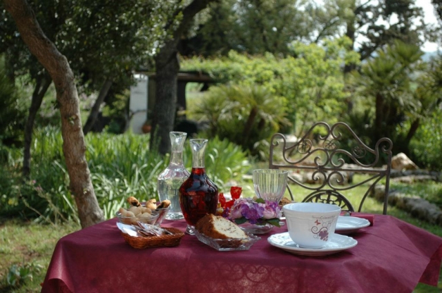  el jardín 