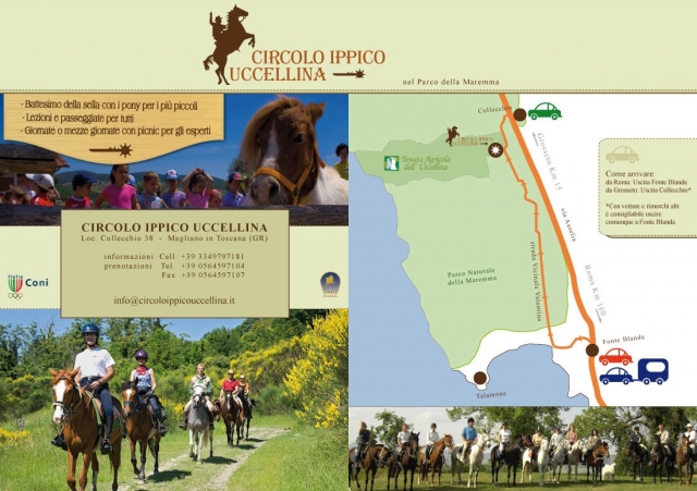  Caballos también 