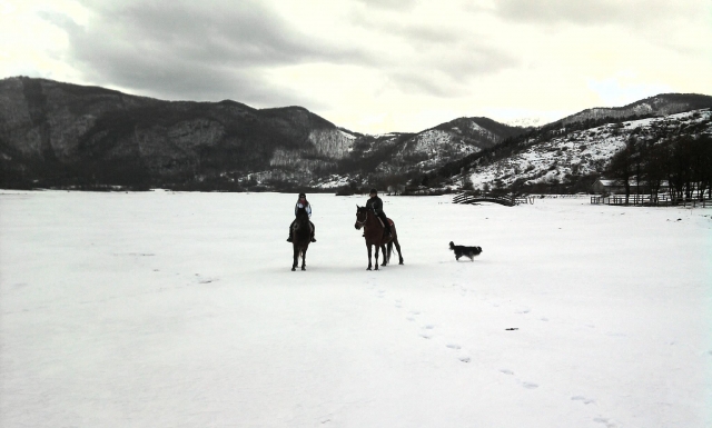 Paseo romántico a caballo en invierno 