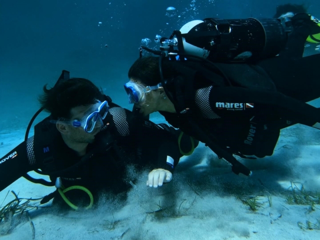 Curso Open Water Diver en Teulada