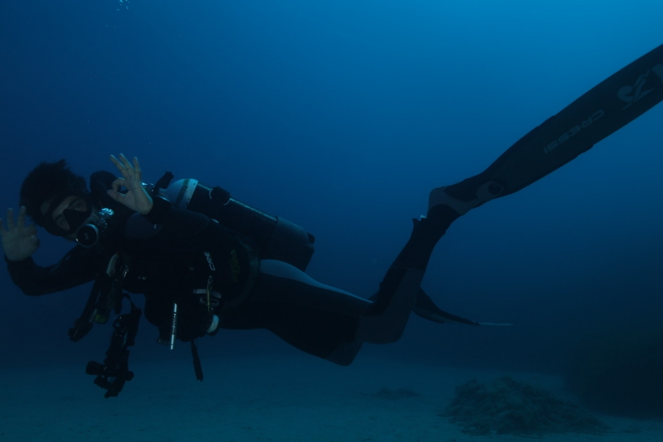  Curso Open Water Diver 