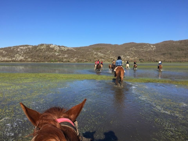  Vadeando un río 