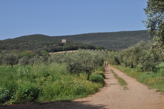  Cabalgamarras 
