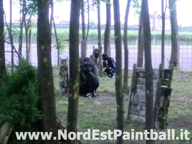  Escenario bosque 