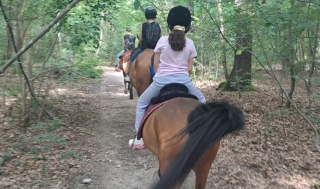 Excursión ecuestre al Parque Ticino para principiantes.