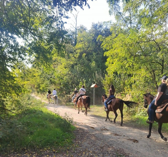 Galopando por el bosque